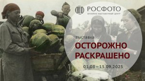 Выставки / Exhibition