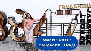 Путешествия