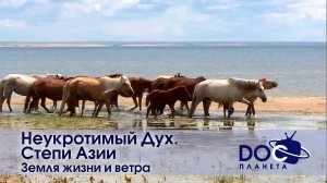 Дикая природа