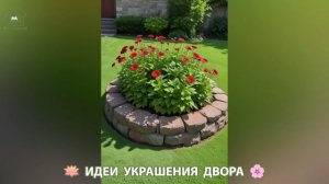 Двор и сад