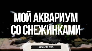 Акваблог