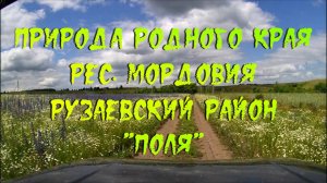 Природа родного края. рес. Мордовия, 13 регион