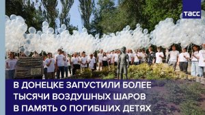Новости России ТАСС