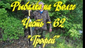 Рыбалка