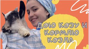 ВЛОГИ ИЗ ДЕРЕВНИ