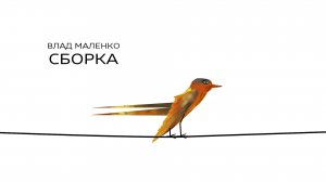 Новости и СМИ