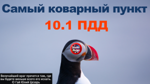 Мысли в слух