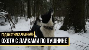 Год охотника / Сезон 1
