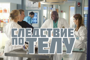 Следствие по телу - сезон 1 / Body of Proof