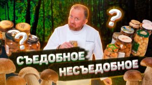 Обзоры и тесты