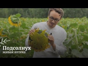 Живая аптека