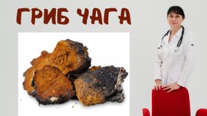 Лечебные грибы