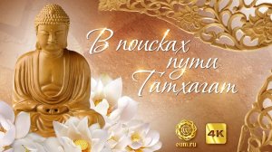video.oum.ru