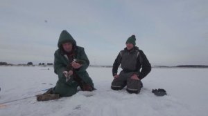 Загорелся флажок