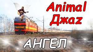 Animal Джаz