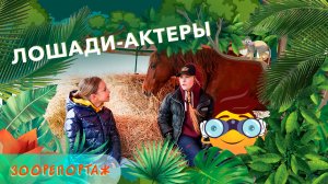 Зоорепортаж