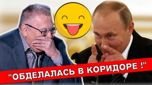 Юмор