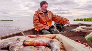 С полем! Всё об охоте и рыбалке на Крайнем Севере | Ямал-Медиа