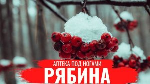 Аптека под ногами