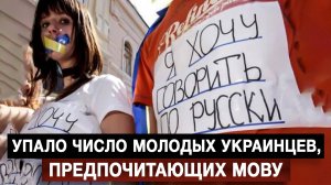 Новости коротко...