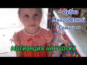 наши будни 2022