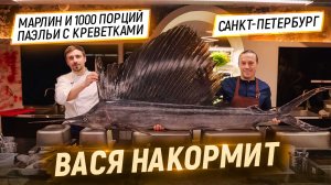 Вася накормит. 1 сезон