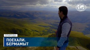 Поехали