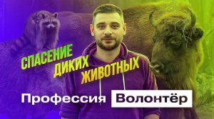 ПРОФЕССИЯ ВОЛОНТЕР|док. сериал об экологии