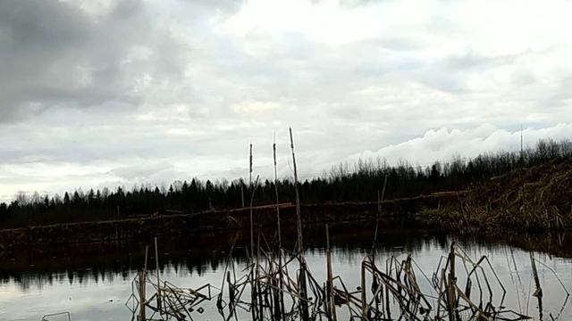 Релакс